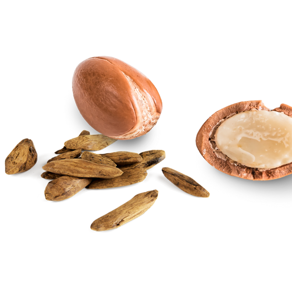 Argan & Oudh