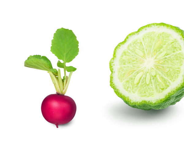 Radish & Bergamot