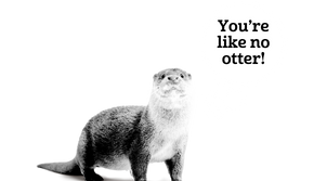 OtterNL