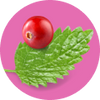 Patschuli & Cranberry