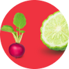 Radijs & Bergamot