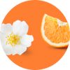 Sinaasappel & Jasmijn