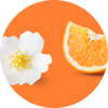 Orange & Jasmine