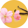 Vanilla & Cherry Blossom