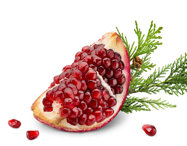 Cedar & Pomegranate