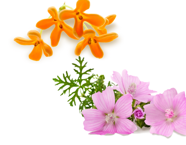 Mandarijn & Osmanthus