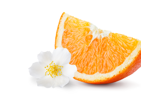 Orange & Jasmine