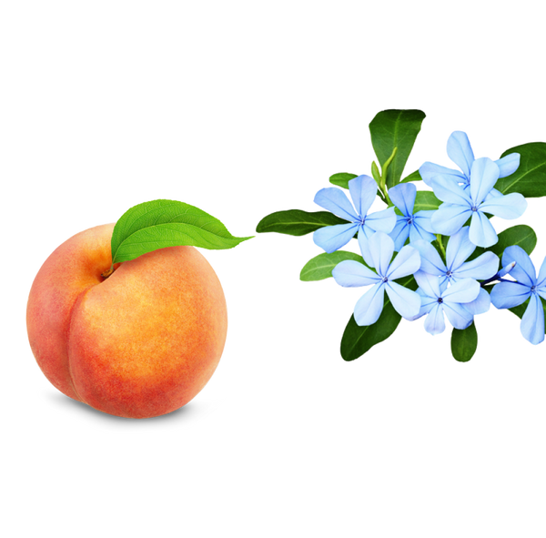 Peach & Jasmine