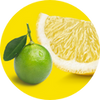 Citroen & Bergamot